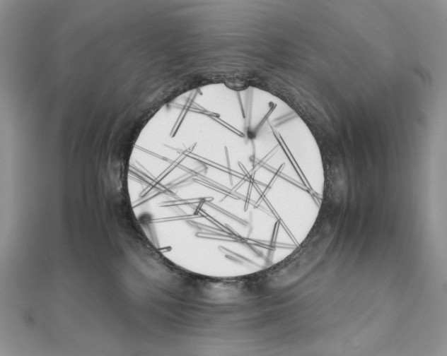X0000111010232200907311058