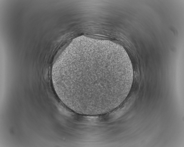 X0000111010233200907311058