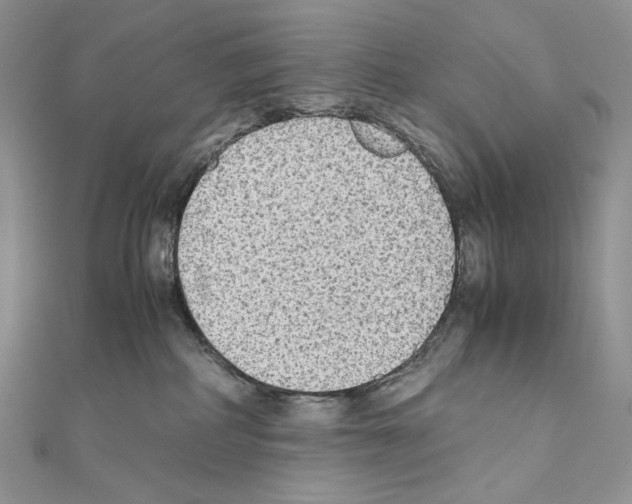 X0000111010234200907311058