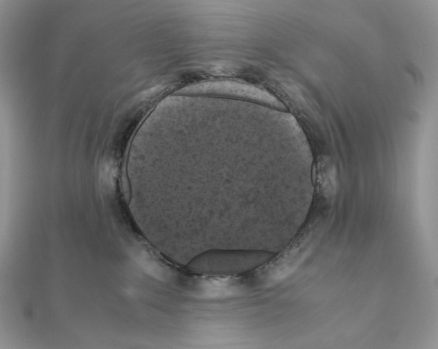 X0000111010235200907311058