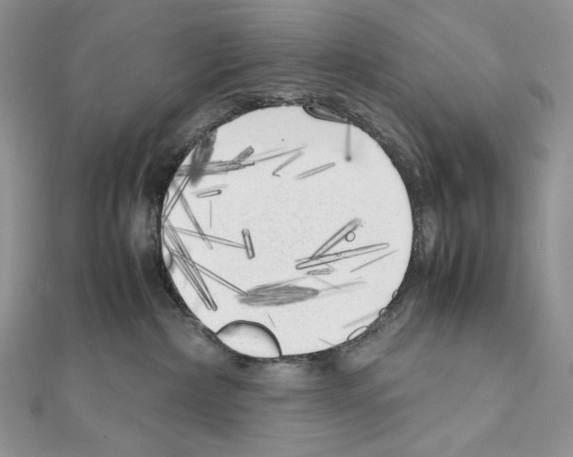 X0000111010236200907311058