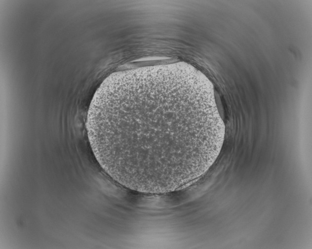 X0000111010237200907311058