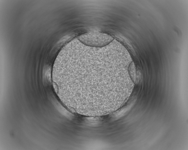X0000111010238200907311058