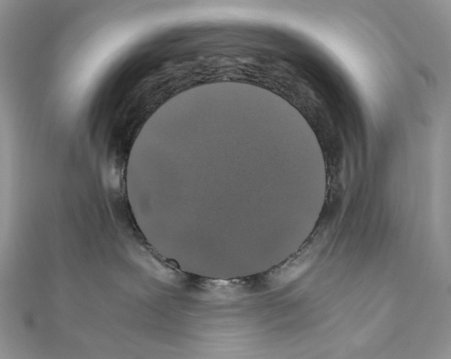 X0000111010239200907311058