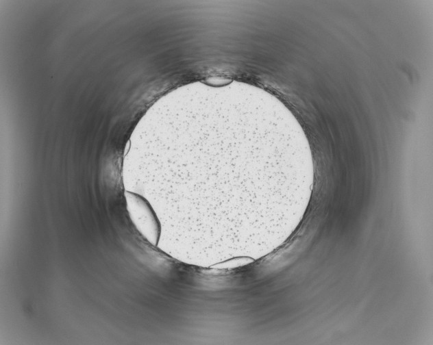 X0000111010240200907311058