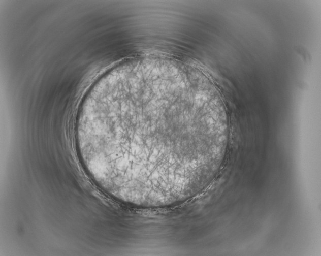 X0000111010241200907311057