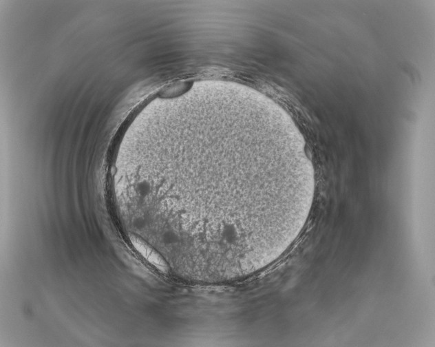 X0000111010242200907311057