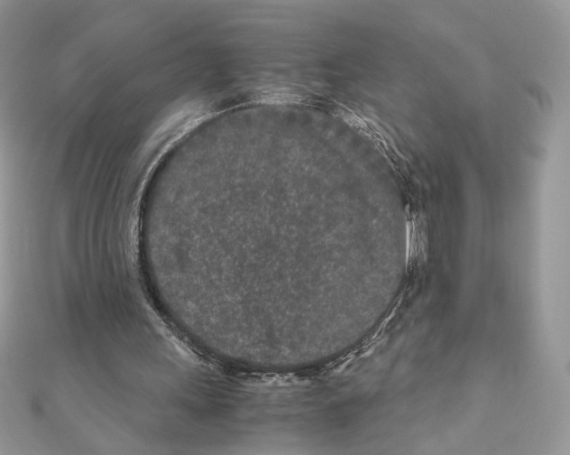 X0000111010243200907311057