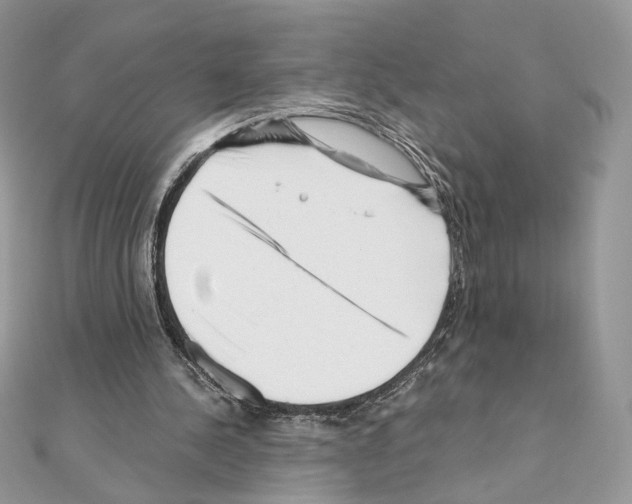 X0000111010244200907311057