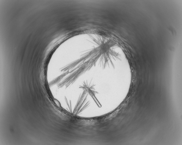 X0000111010245200907311057