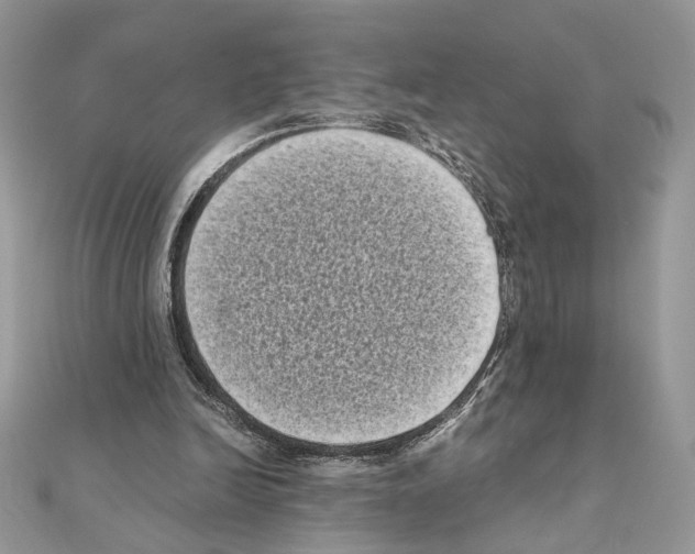 X0000111010246200907311057