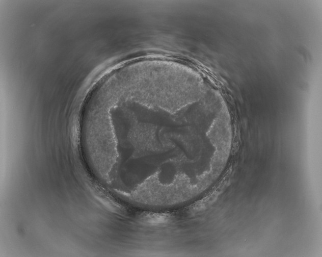 X0000111010247200907311057