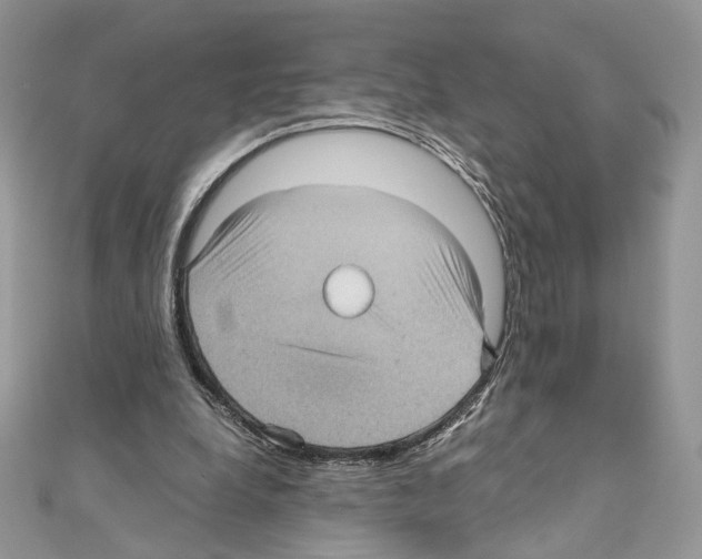X0000111010248200907311057