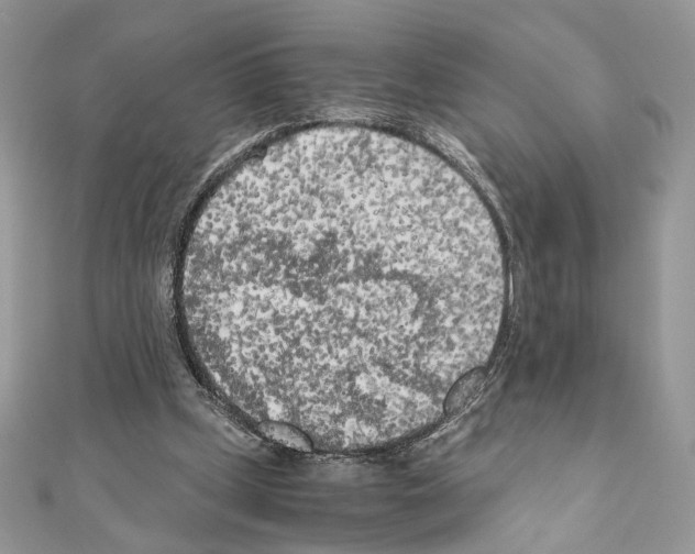 X0000111010249200907311057