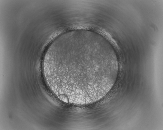 X0000111010250200907311057