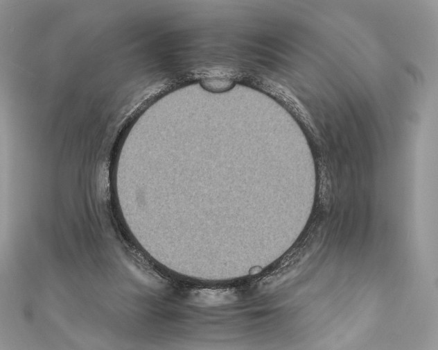 X0000111010251200907311057