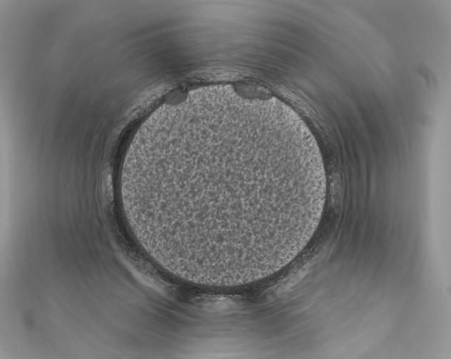 X0000111010254200907311057