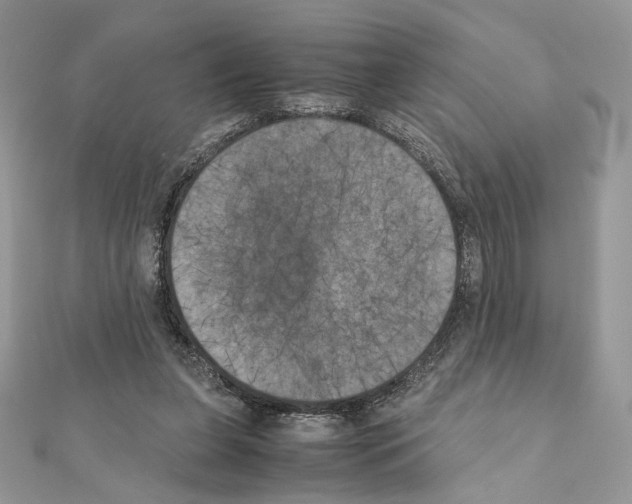 X0000111010255200907311057