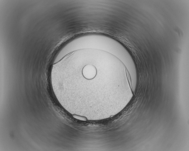 X0000111010256200907311057