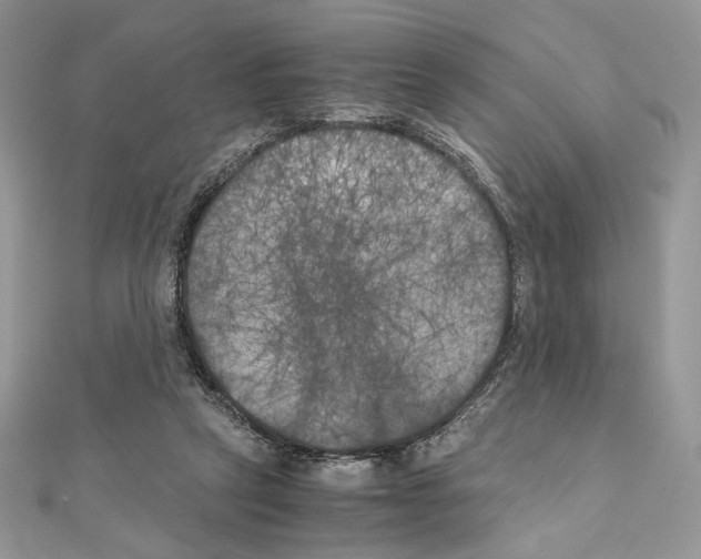X0000111010257200907311057