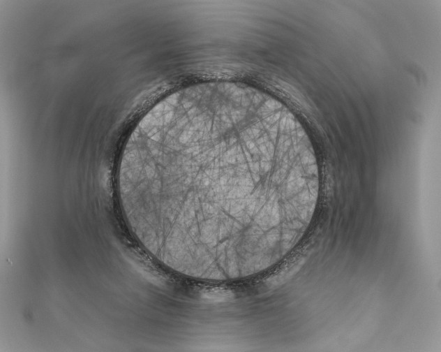 X0000111010258200907311057