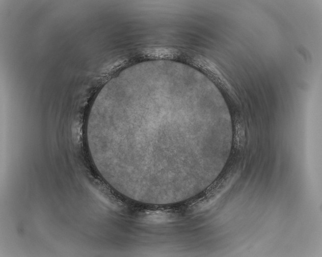 X0000111010259200907311057