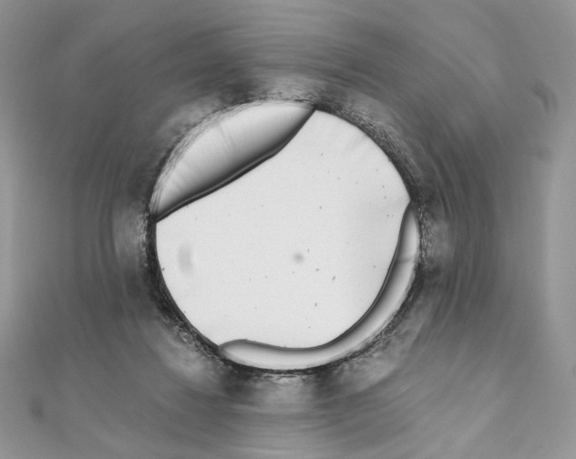 X0000111010260200907311057