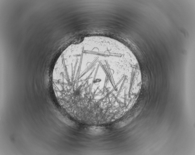 X0000111010261200907311057