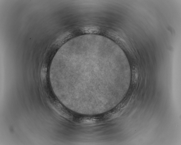X0000111010263200907311057