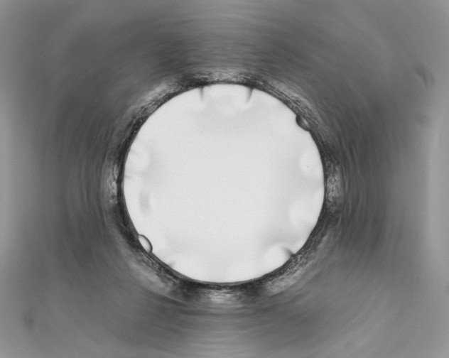 X0000111010264200907311057