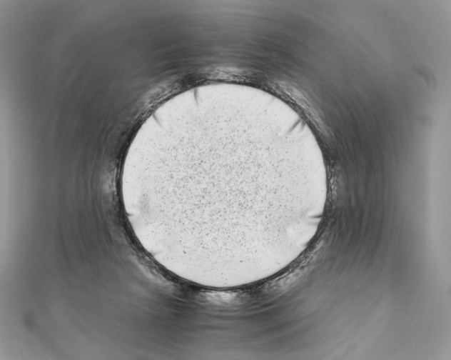 X0000111010265200907311057