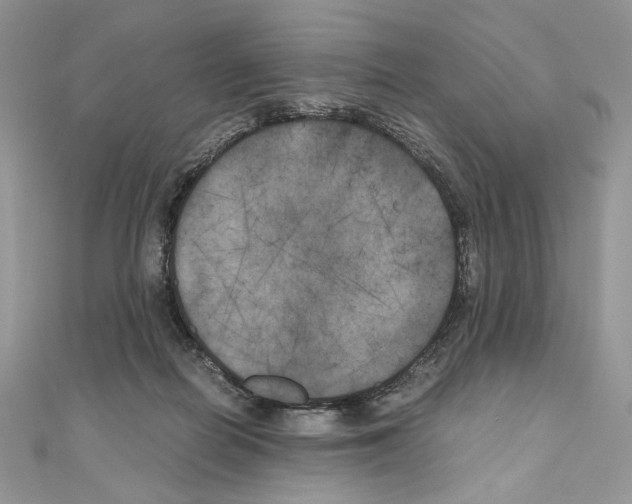 X0000111010266200907311057