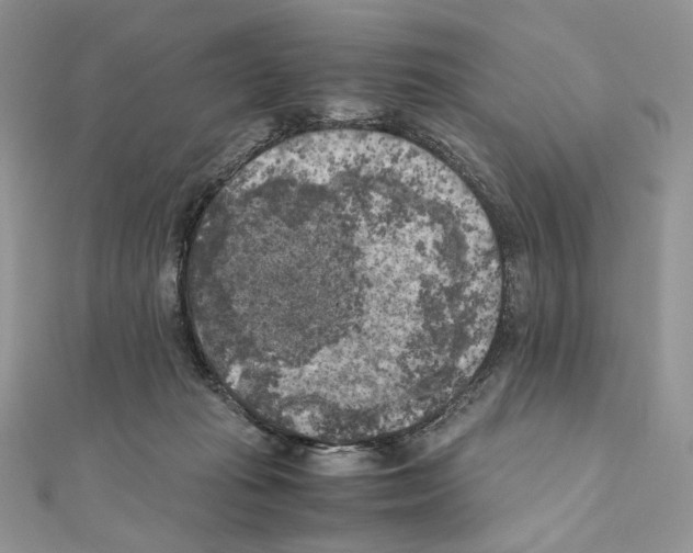X0000111010269200907311057