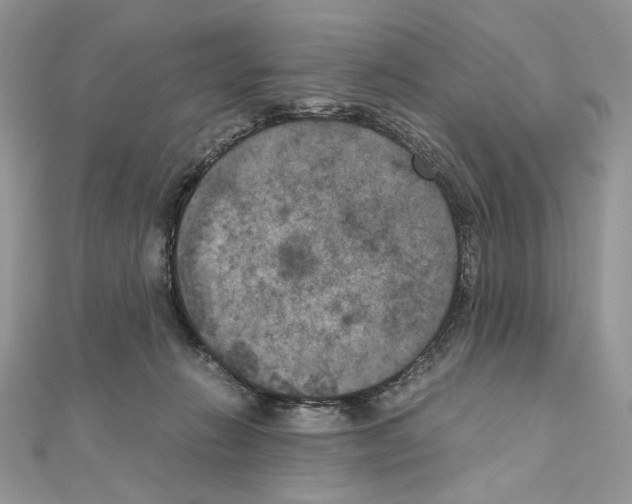 X0000111010270200907311057