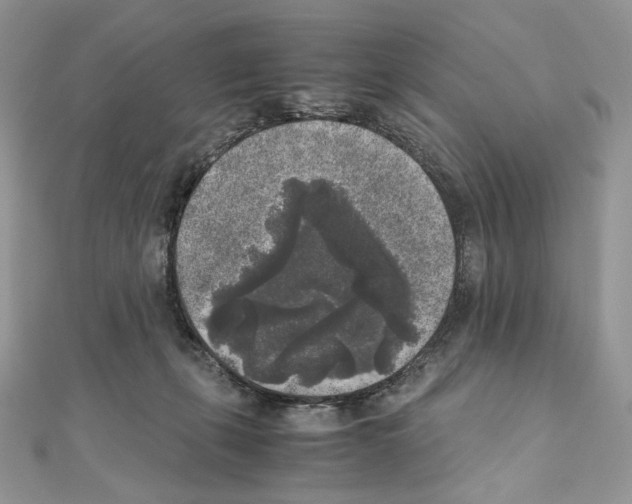 X0000111010271200907311057