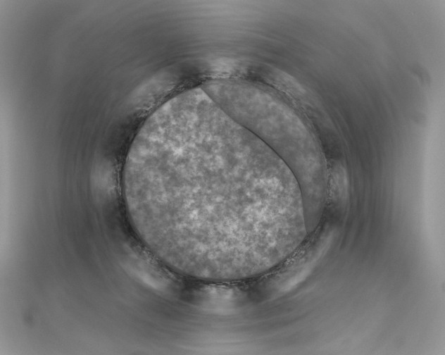 X0000111010272200907311058