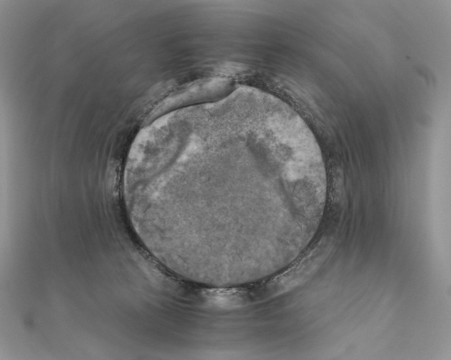 X0000111010273200907311058