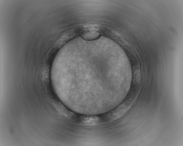X0000111010274200907311058