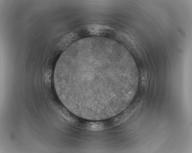 X0000111010275200907311058