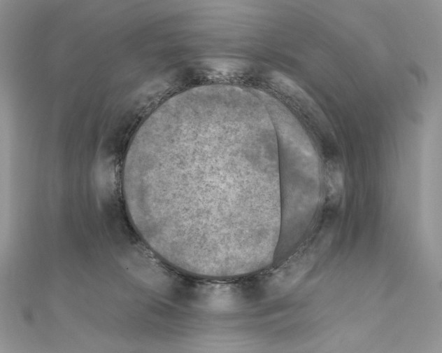 X0000111010276200907311058