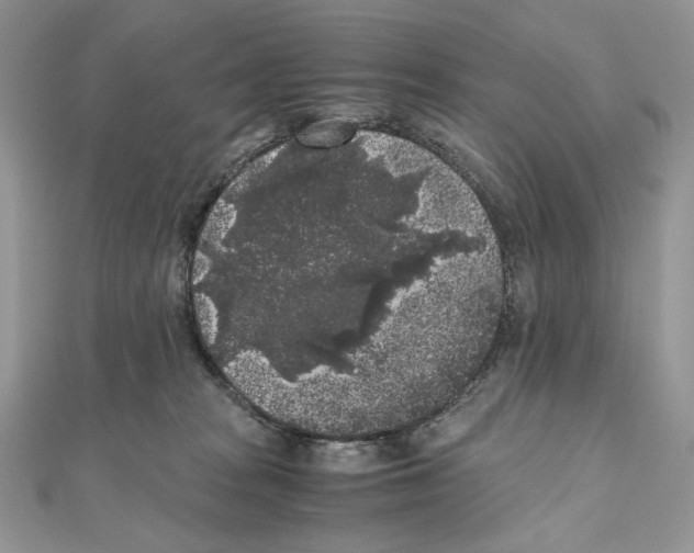 X0000111010277200907311058