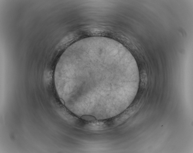 X0000111010278200907311058