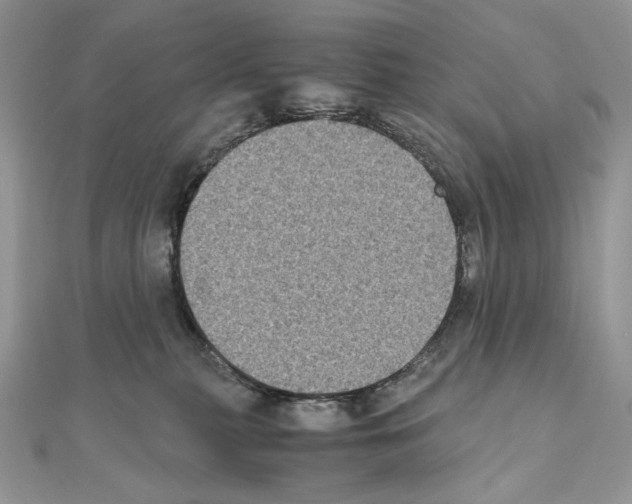 X0000111010279200907311058
