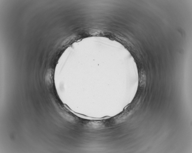 X0000111010280200907311058