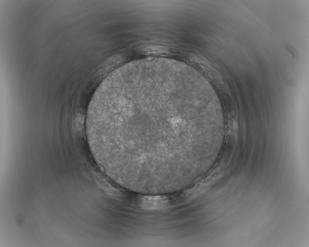 X0000111010281200907311058