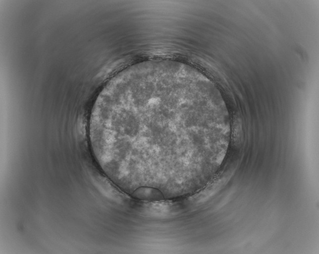 X0000111010282200907311058