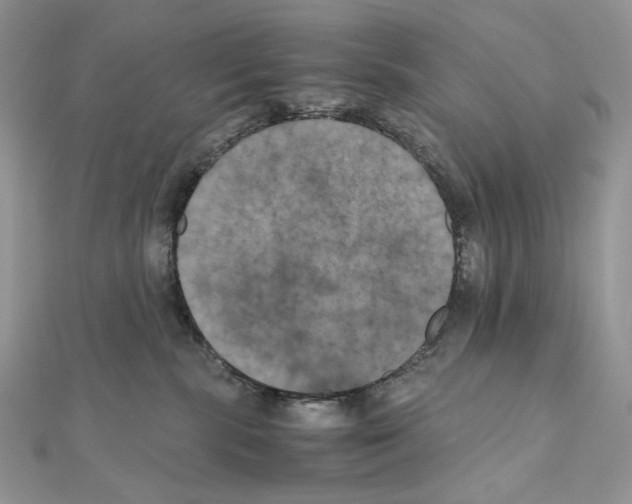 X0000111010283200907311058