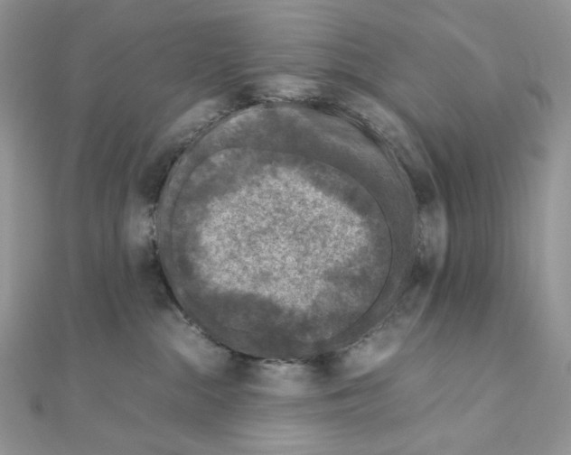 X0000111010284200907311058