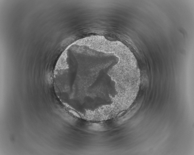 X0000111010285200907311058