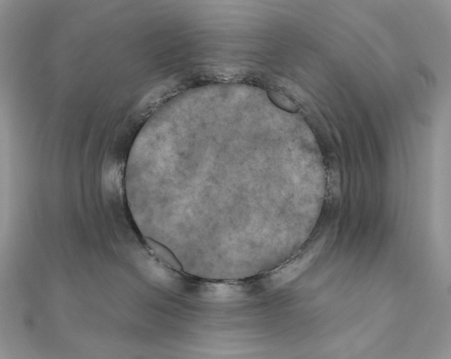 X0000111010286200907311058